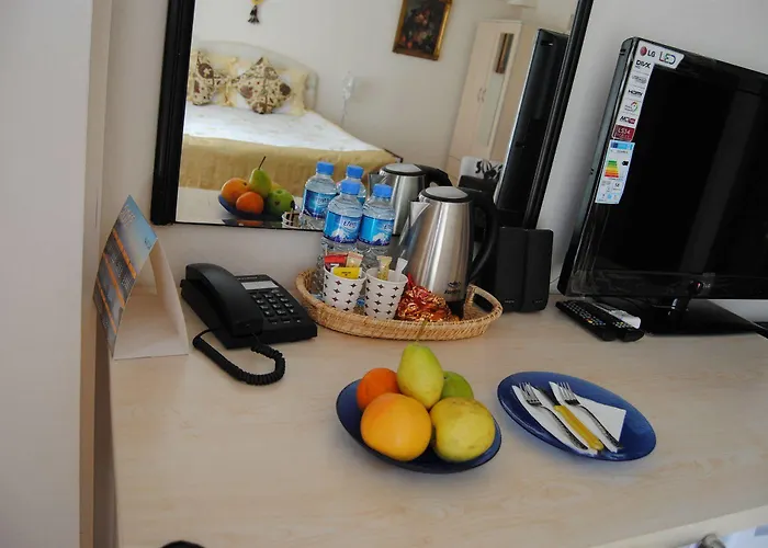 Falcon * イスタンブール