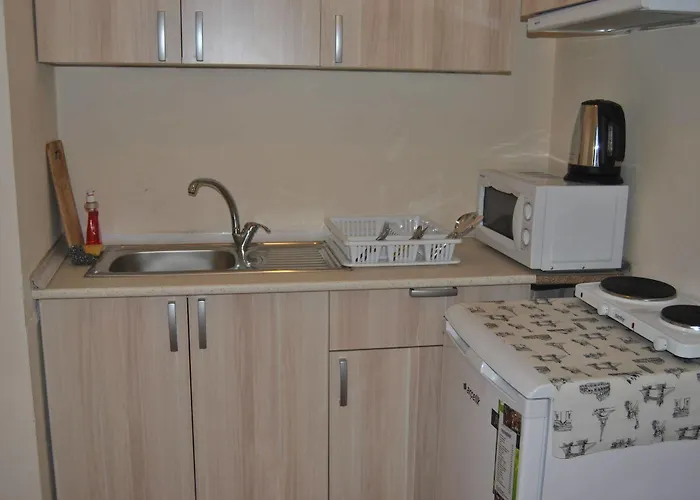 Falcon アパート イスタンブール